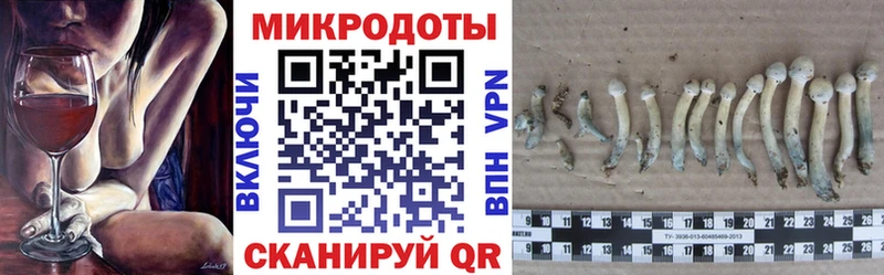 Купить закладки  Конаково  Галлюциногенные грибы Psilocybine cubensis 